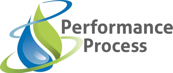 Performance Process